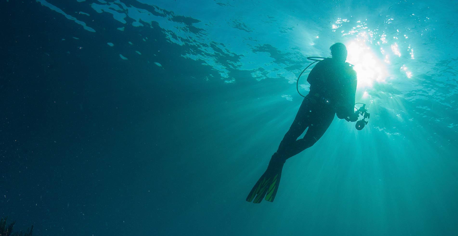 Kurs Divemaster