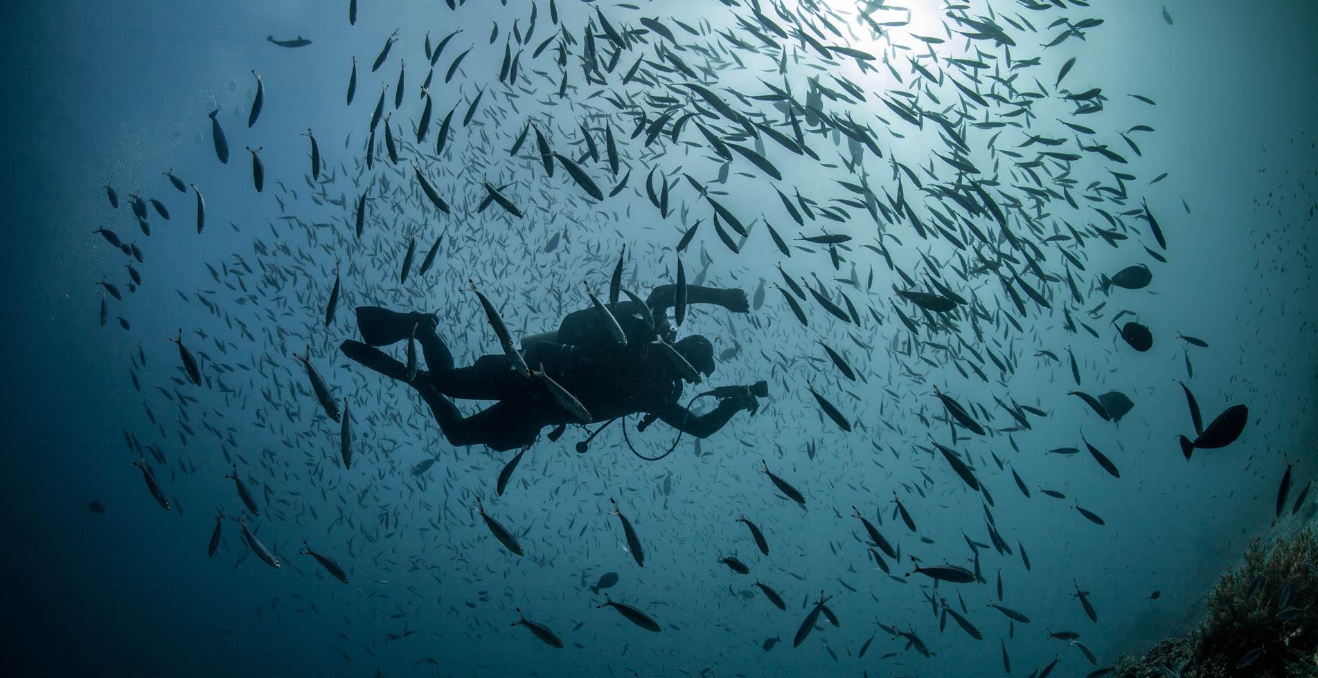 Kurs Advanced Open Water Diver